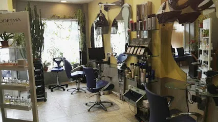 Kort Art peluqueros