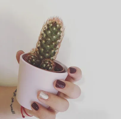 La Bonita