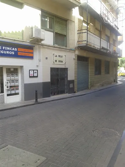 La Pelu De ROSA