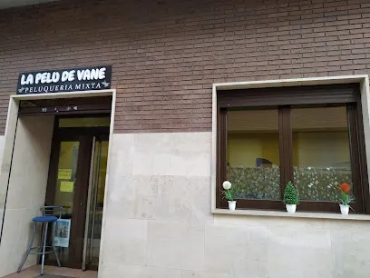 LA PELU de VANE