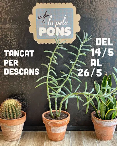 La Pelu Pons