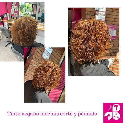 La Peluquería de Isa