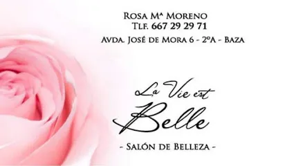La Vie est Belle
