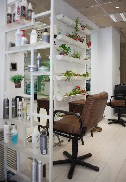 Langa's Peluquerias
