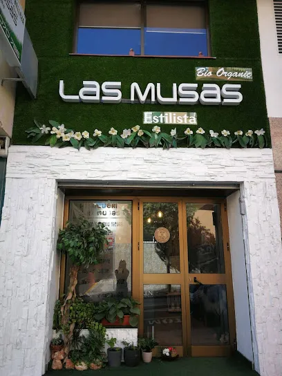 Las Musas Estilista