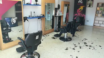 Lebrón Alternactivo Peluqueros