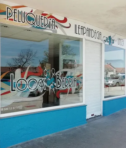 Look Berria Peluqueria