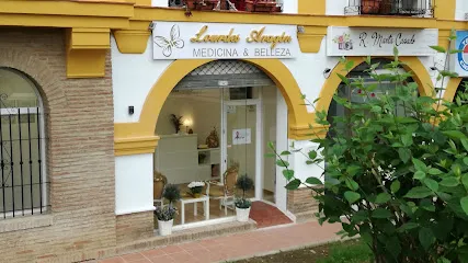 Lourdes ARAGÓN