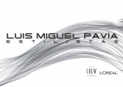 LUIS MIGUEL PAVIA ESTILISTAS