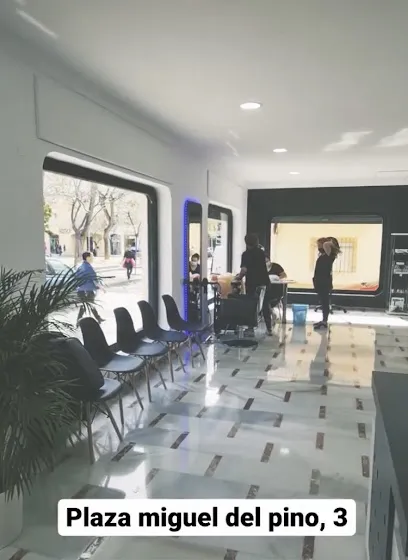Luxe to Hair