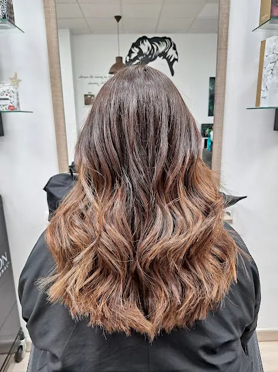 Mai Hair Peluquería