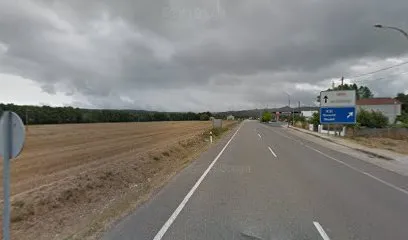 Maivo