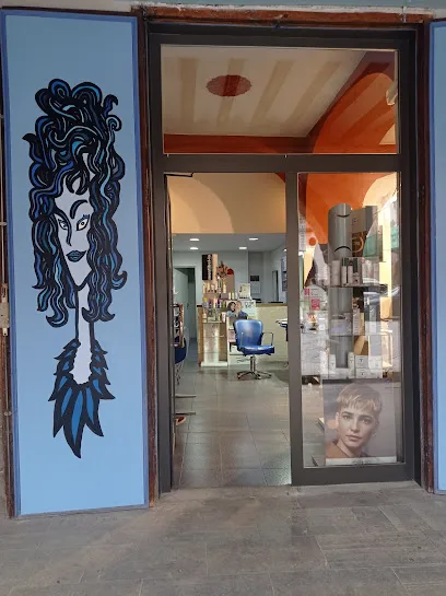 María Perruqueria dona-home