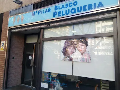 María Pilar Blasco Herrero