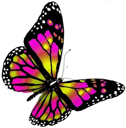 Mariposa Belleza | Beauty & Nails Salón