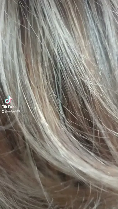 Mel Peluqueria
