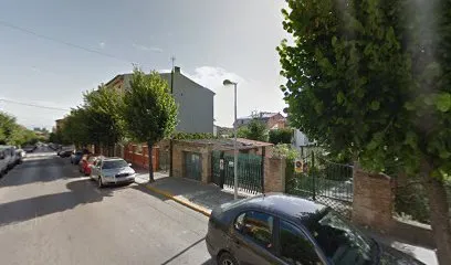 Mercedes Toll Aregall