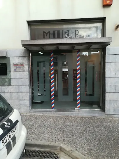 Mir perruquers