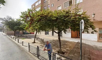 Mireia Bernabeu