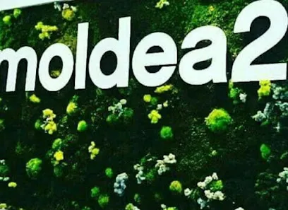Moldea2