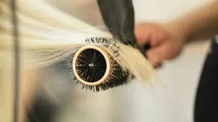 ne peluqueros