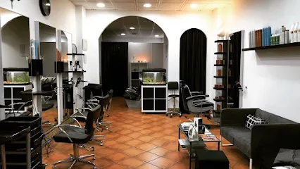 Nieves Peluqueros