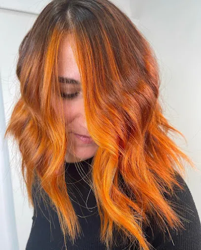 Nova Imatge Peluquería y Estetica
