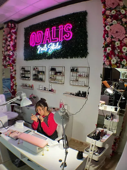 Odalis DVL | Studio and Academy