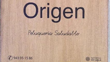 Origen Peluquería Saludable