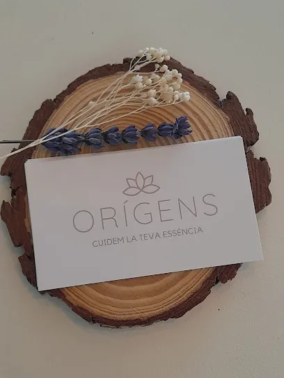 Origens Essencia