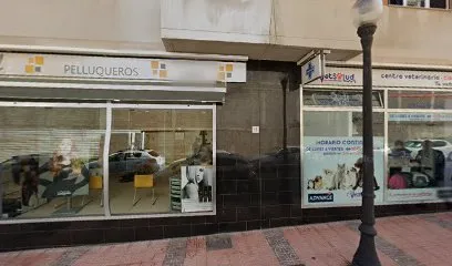Paul Peluqueros