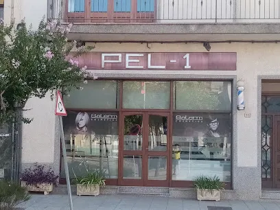 Pel -1 Peluqueria Santa Cristina D'aro