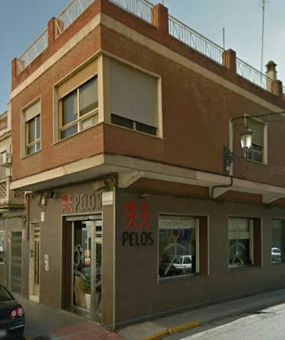 Pelos