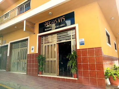 PELOSVIP Peluquería y Estética unisex