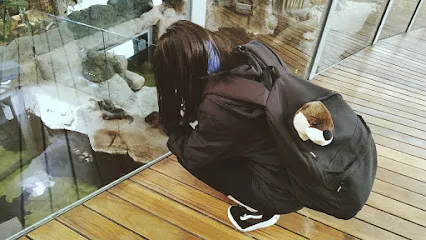 Peluqueria Abril