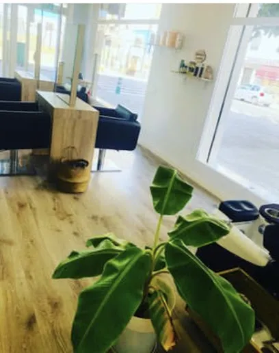 Peluqueria Albert & Frank