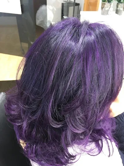 PELUQUERIA ALICIA