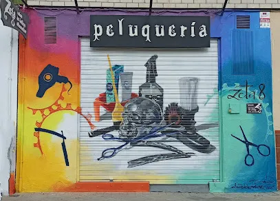Peluquería Alternativa Zeta8