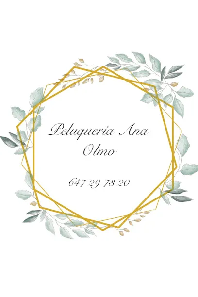 Peluquería Ana Olmo