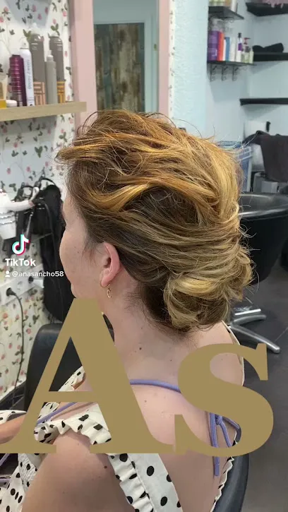 Peluquería Ana sancho.otro estilo
