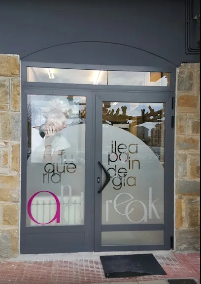 Peluqueria Andreak Ileapaindegia