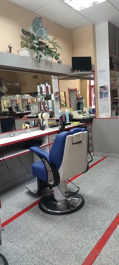 Peluquería Araceli