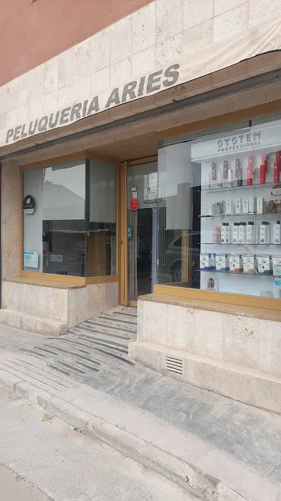 Peluquería Aries