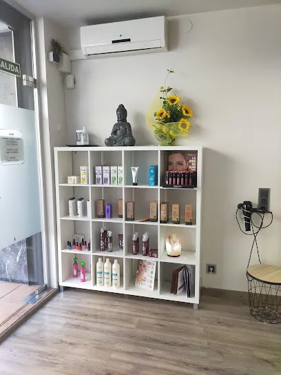 Peluquería Ariza's Estilistes