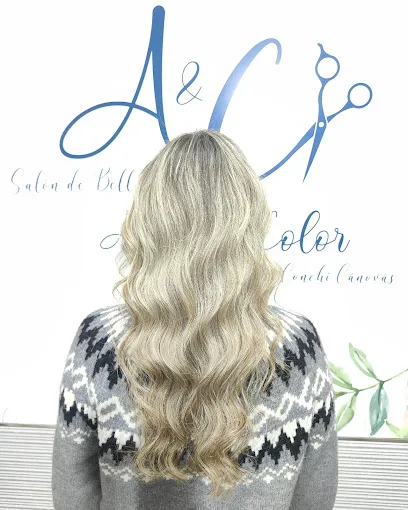 Peluquería Arte y Color Conchi Cánovas