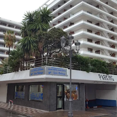 Peluqueria Belen Montenegro