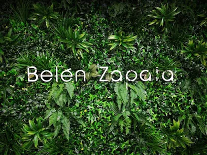 Peluquería Belén Zapata | Honda