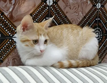 Peluqueria Capritxe