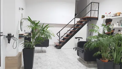 Peluquería Capsule 86