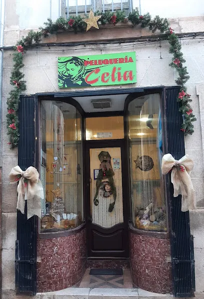 Peluquería Celia